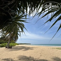 фото из отзыва ID 2727779