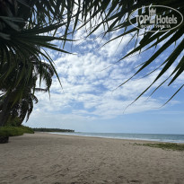 фото из отзыва ID 2727779