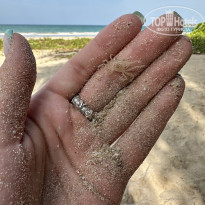 фото из отзыва ID 2727779