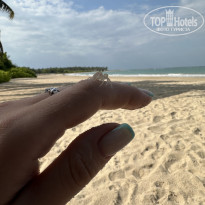 фото из отзыва ID 2727779