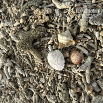 фото из отзыва ID 2727779