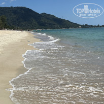 фото из отзыва ID 2727887