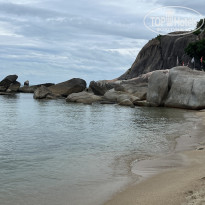 фото из отзыва ID 2727887