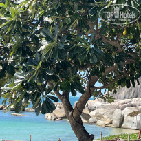 фото из отзыва ID 2727887