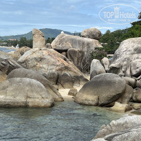 фото из отзыва ID 2727887