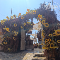 фото из отзыва ID 2727889