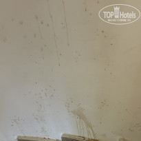 фото из отзыва ID 2727940