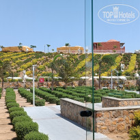 фото из отзыва ID 2727997