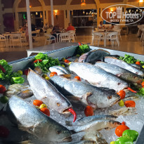 фото из отзыва ID 2727997