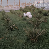 фото из отзыва ID 2727997