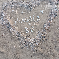 фото из отзыва ID 2727997