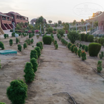 фото из отзыва ID 2727997