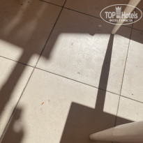 фото из отзыва ID 2728002