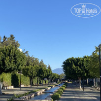 фото из отзыва ID 2728083