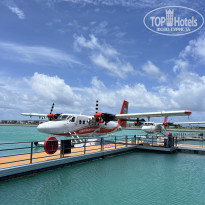 фото из отзыва ID 2728092