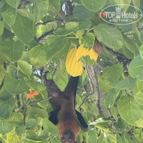 фото из отзыва ID 2728092