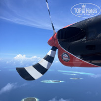 фото из отзыва ID 2728092