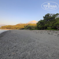 фото из отзыва ID 2728098