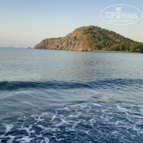 фото из отзыва ID 2728098