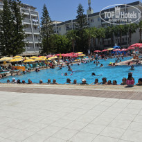 фото из отзыва ID 2728129