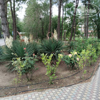 фото из отзыва ID 2728165