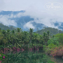 фото из отзыва ID 2728218