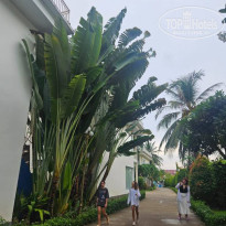 фото из отзыва ID 2728218