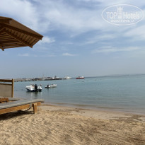 фото из отзыва ID 2728252