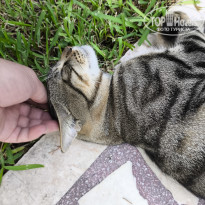 фото из отзыва ID 2728260