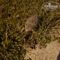 фото из отзыва ID 2728273