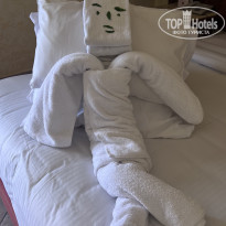 фото из отзыва ID 2728294