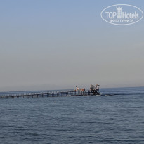 фото из отзыва ID 2728294