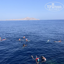 фото из отзыва ID 2728294