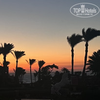 фото из отзыва ID 2728294