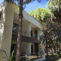 фото из отзыва ID 2728343