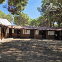 фото из отзыва ID 2728343