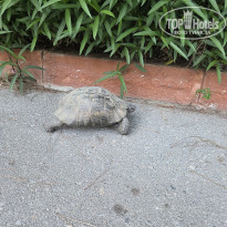 фото из отзыва ID 2728343