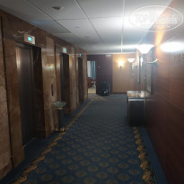 фото из отзыва ID 2728358