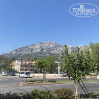 фото из отзыва ID 2728357