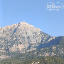 фото из отзыва ID 2728382