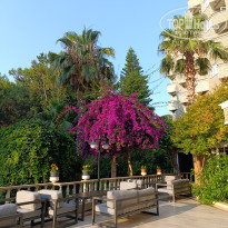 фото из отзыва ID 2728382