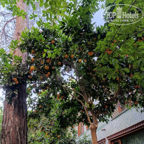 фото из отзыва ID 2728382