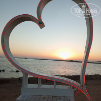 фото из отзыва ID 2723395