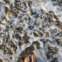 фото из отзыва ID 2728443