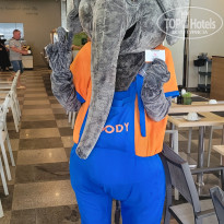 фото из отзыва ID 2728465