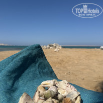 фото из отзыва ID 2728493