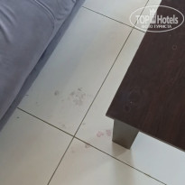 фото из отзыва ID 2728562