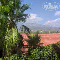 фото из отзыва ID 2728448