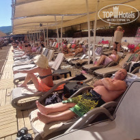 фото из отзыва ID 2728594