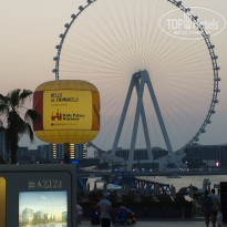 фото из отзыва ID 2727353